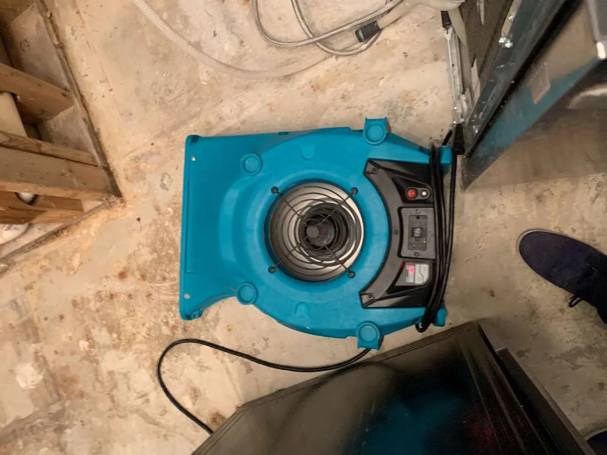 Air mover drying equipment for Mold Remediation & Removal in White Bear Lake